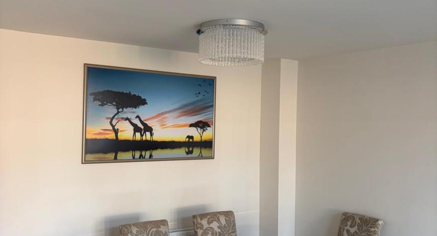 Light Fitting Installation, relocation and new switch Installation in Blackwater