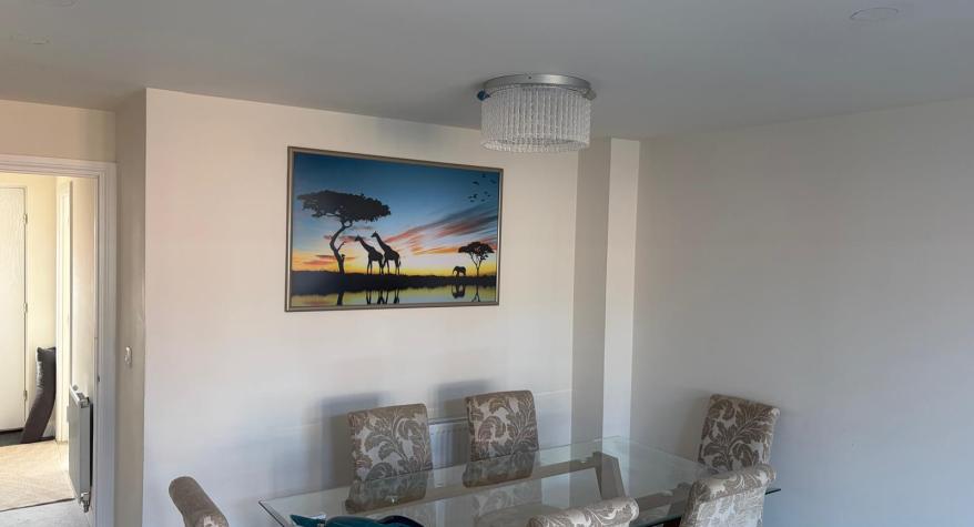 Light Fitting Installation, relocation and new switch Installation in Blackwater